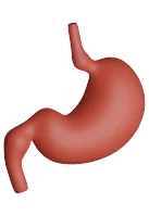 Ícone de Gastroenterologia