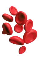 Ícone de Hematologia