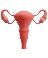 Ícone de Ginecologia e Obstetrícia