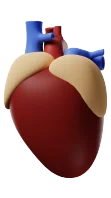Ícone de Cardiologia